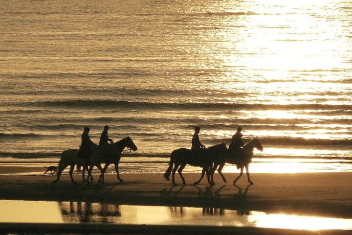 Sunset Horse Ride Experience in Essaouira: Beach, Dunes & Argan Forests photo 5
