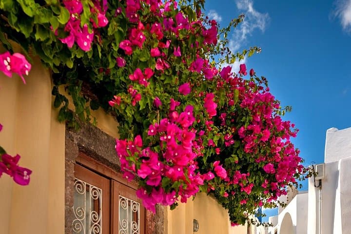 Santorini Mystery Quest: Private Historical Scavenger Hunt with Local Lunch photo 5