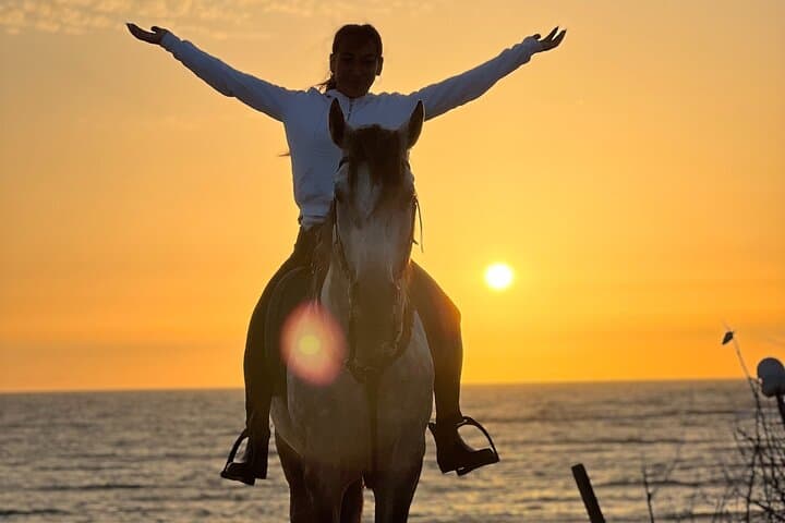 Sunset Horse Ride Experience in Essaouira: Beach, Dunes & Argan Forests photo 6