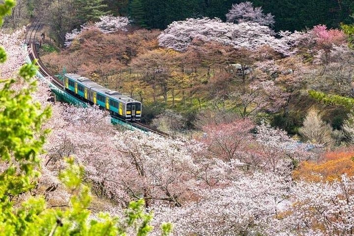 Northern Ibaraki Private Day Tour — Fukuroda Falls, Ryujin Bridge & Coastal Views photo 1