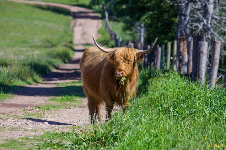 West Coast Highland Heritage Private Day Tour from Inverness photo 2