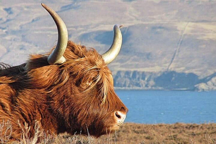 West Coast Highland Heritage Private Day Tour from Inverness photo 5