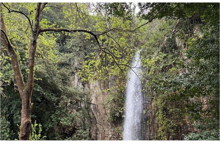 Private Waterfall Hiking in Madeira — 4 Spectacular Waterfalls by 4x4 Jeep photo 2