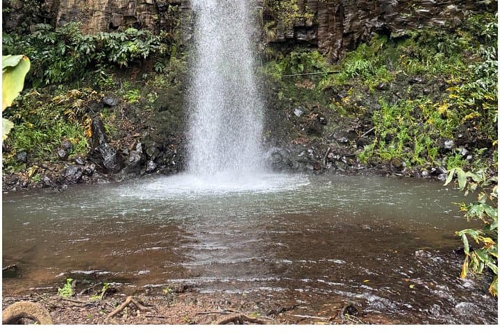 Private Waterfall Hiking in Madeira — 4 Spectacular Waterfalls by 4x4 Jeep photo 4