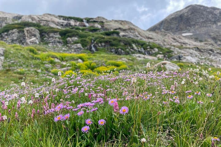 Drive Independence Pass to Aspen: Scenic High-Country Day Tour from Buena Vista photo 4
