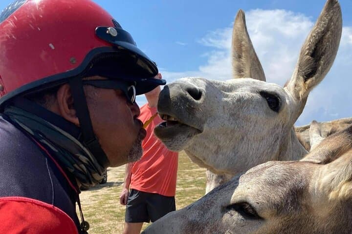 Self-Guided 8-Hour Single-Seat ATV Adventure in Aruba — Arikok Park & Coastal Sights photo 6