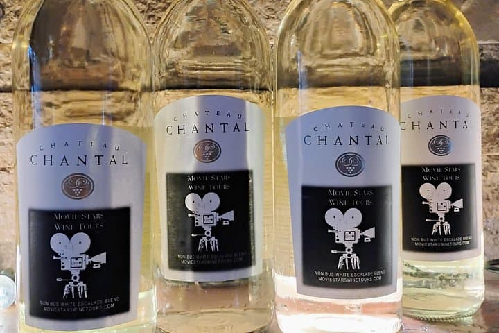 VIP Old Mission Peninsula Wine Tour from Traverse City — Luxury 4-Stop Tastings photo 3