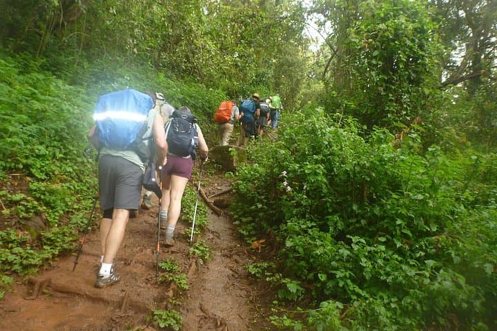 6-Day Machame Route Kilimanjaro: Private Trek to Uhuru Peak photo 3