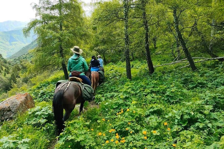 Horseback Riding in Ala Archa National Park — Half‑Day Guided Trail Ride from Bishkek photo 3