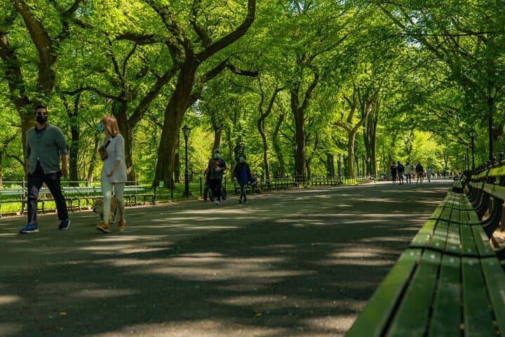 Central Park Pedicab Tour: 1-Hour Guided Ride Through Bow Bridge & Bethesda photo 5