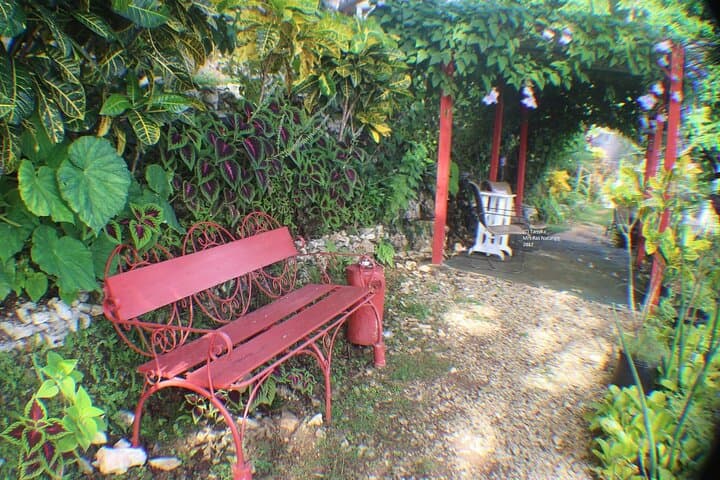 Ras Natango Gallery and Garden: Montego Bay's Hilltop Botanical Art Escape photo 5