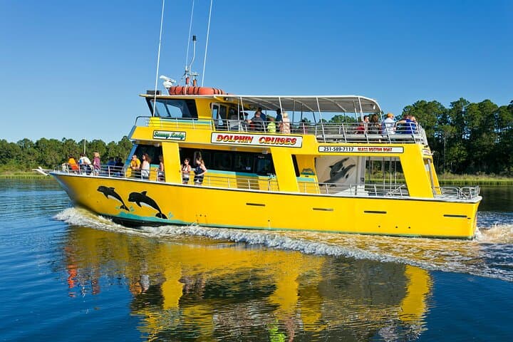 Sunny Lady Dolphin & Sunset Cruises in Orange Beach: Scenic Back Bay Excursions photo 2