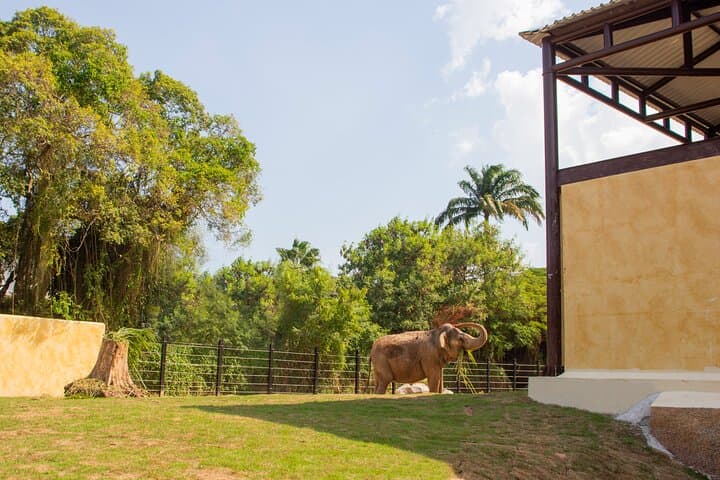 Sugarloaf, AquaRio & BioParque: Full-Day Rio Adventure with Cable Car and Wildlife photo 5