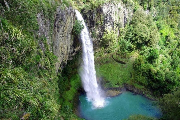 Raglan Day Tour from Auckland — Bridal Veil Falls, Raglan Fish & Ngarunui Beach photo 1