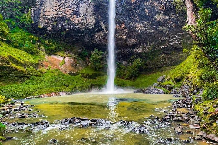 Raglan Day Tour from Auckland — Bridal Veil Falls, Raglan Fish & Ngarunui Beach photo 2