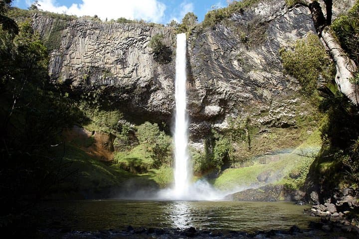Raglan Day Tour from Auckland — Bridal Veil Falls, Raglan Fish & Ngarunui Beach photo 3