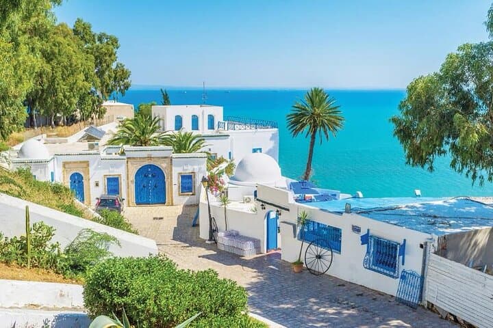 Private Excursions from Port of La Goulette: Tunis, Carthage & Sidi Bou Said Day Tour photo 5