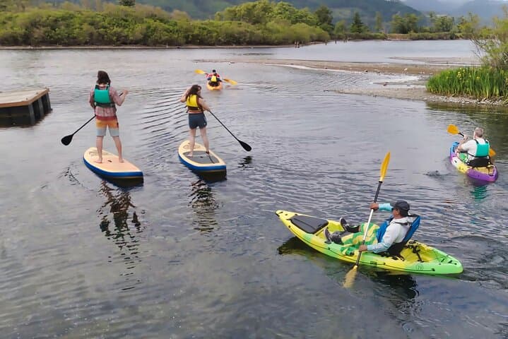 Columbia River Gorge Stand-Up Paddle Experience: Paddle Clear Waters Near Hood River