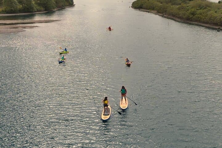 Columbia River Gorge Stand-Up Paddle Experience: Paddle Clear Waters Near Hood River photo 2