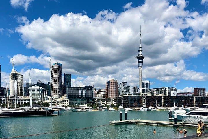 Auckland Half-Day Top Sights: Mount Eden, North Head & Wintergarden Walking Tour photo 3