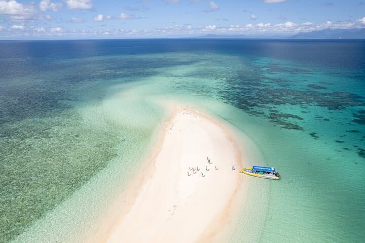 Ocean Safari Cape Tribulation: Great Barrier Reef Snorkel With Turtles photo 2