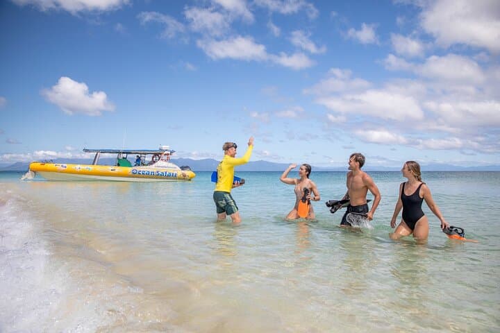 Ocean Safari Cape Tribulation: Great Barrier Reef Snorkel With Turtles photo 3