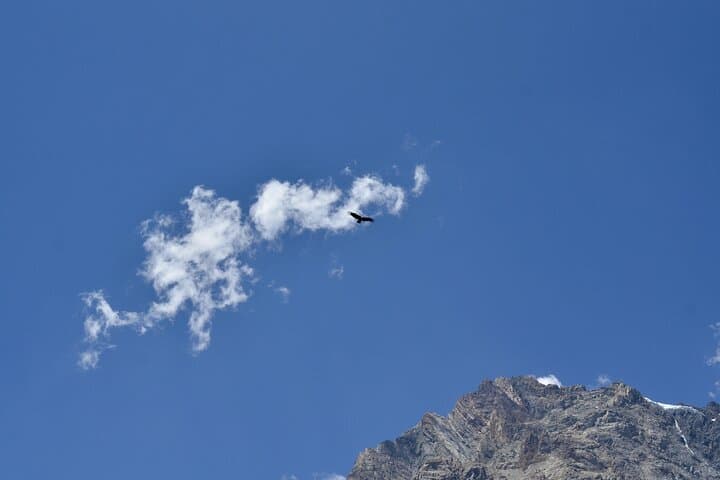 Horseback Riding to Mesón Alto and El Yeso Reservoir from Santiago photo 4