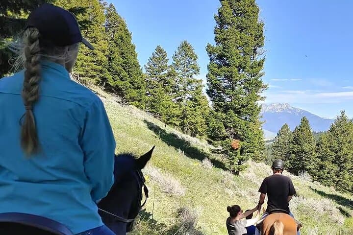 Chimney Rock Trail Ride: Horseback Through Paradise Valley’s Scenic Overlooks