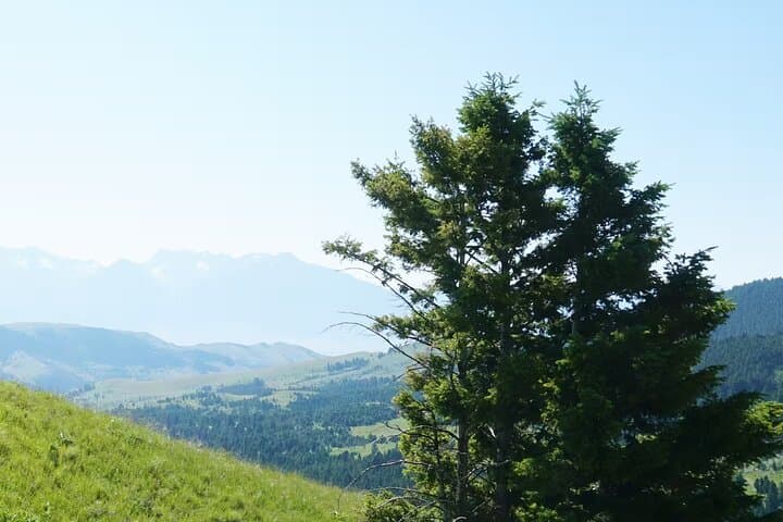 Chimney Rock Trail Ride: Horseback Through Paradise Valley’s Scenic Overlooks photo 2