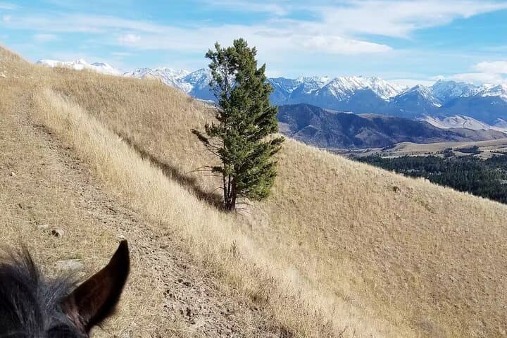Chimney Rock Trail Ride: Horseback Through Paradise Valley’s Scenic Overlooks photo 5