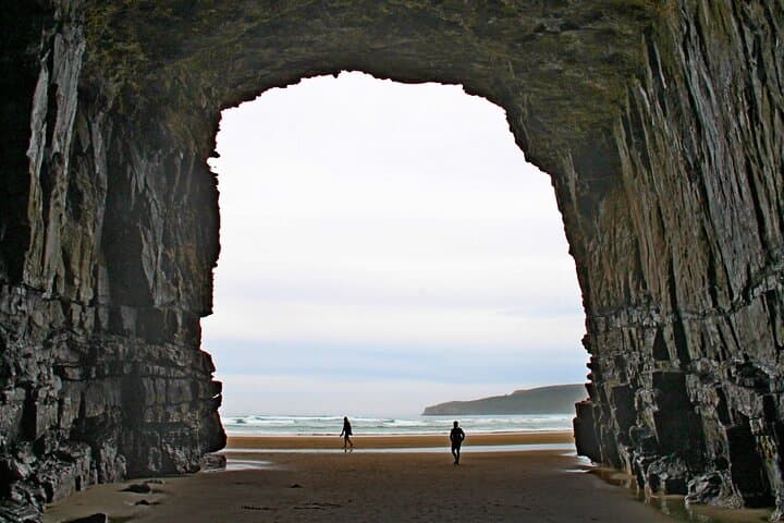 Nugget Point and Cathedral Caves Private Tour from Dunedin — Catlins Coastal Wildlife and Caves