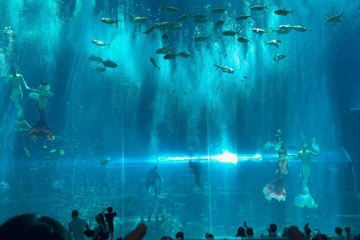 Phu Quoc 3-Day Highlights: Snorkel, VinWonders & Sunset Shows photo 3