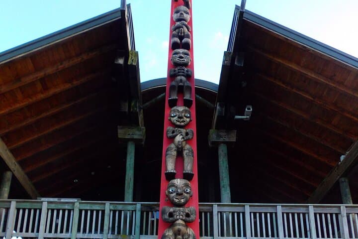 Private Piha Beach, Waitākere Rainforest & Mt Eden Guided Tour (5-hour) photo 4