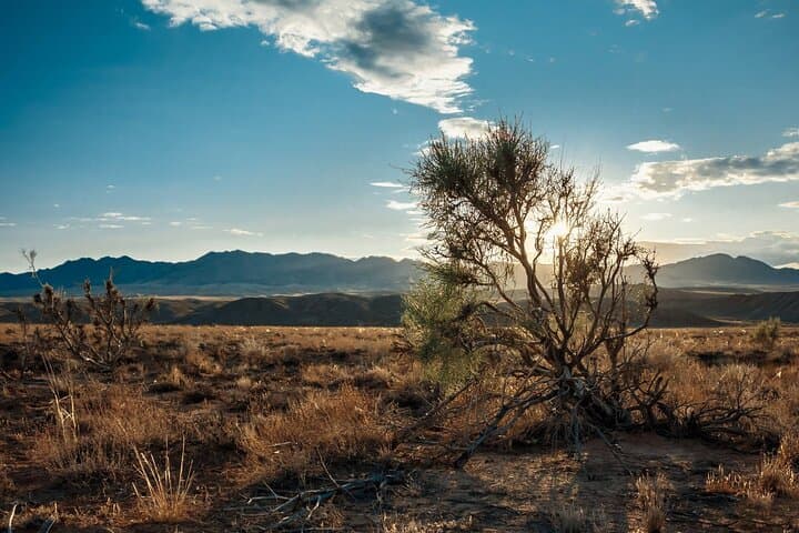 Almaty to Altyn-Emel National Park: Singing Dune & Aktau Mountains Day Tour photo 6