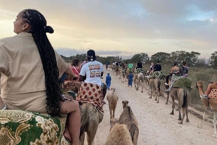 Sunset Camel Ride in Agadir: Dunes, Flamingos & Moroccan Barbecue photo 5