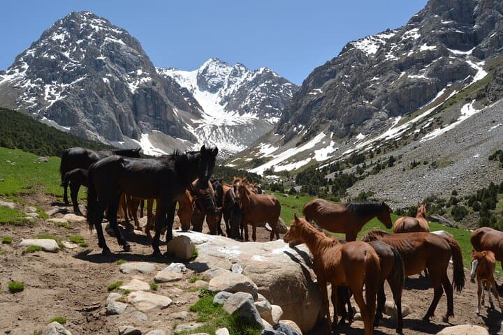 One-Day Trek from Osh to Mazar Too: Sacred Sites & Panoramic Views photo 3
