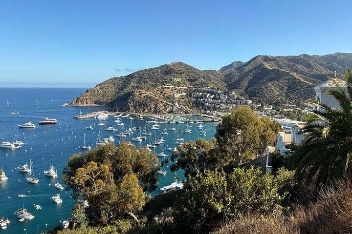 Catalina Island Summit Sunset Tram Tour from Avalon photo 6