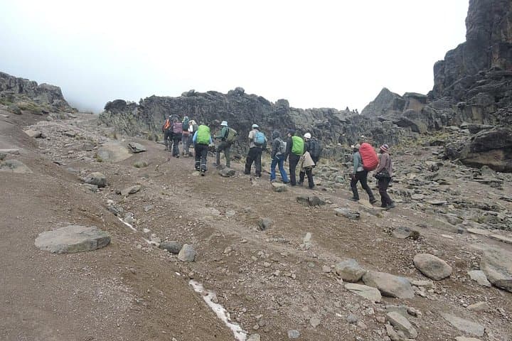 7-Day Machame Route Kilimanjaro Trek — Private Guided Ascent to Uhuru Peak photo 2