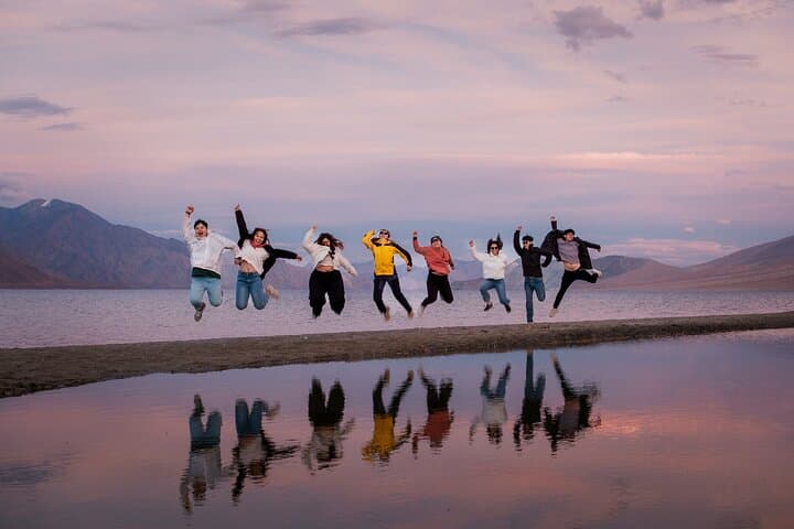 6-Day Leh Ladakh Private Tour: Nubra, Pangong & High Passes