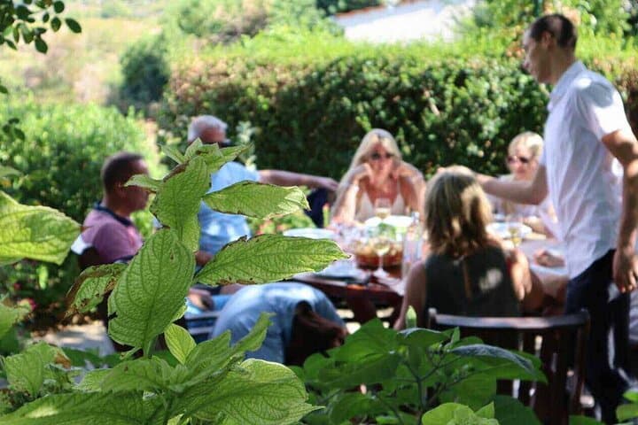 Hvar Half-Day Shore Excursion: Towns, Peka Lunch & Local Wine Tasting photo 6