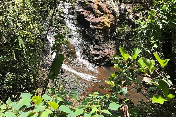 Chamarel Seven Coloured Earth & Waterfall — Private South West Mauritius Day Tour photo 6