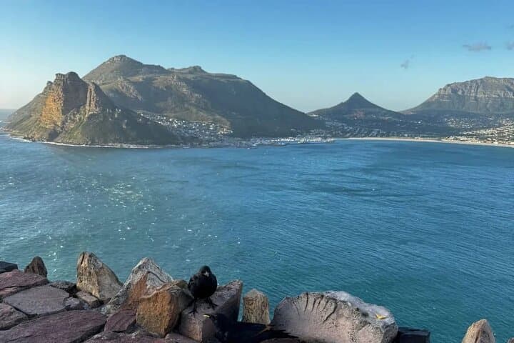 Chapmans Peak Convertible Tour — Scenic Drive from Cape Town photo 6
