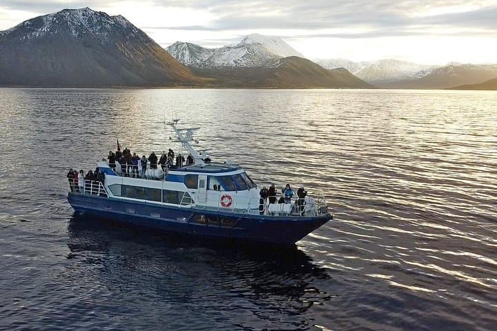Polar Whale Safari from Tromsø — All-Inclusive Boat Trip to Skjervøy photo 1