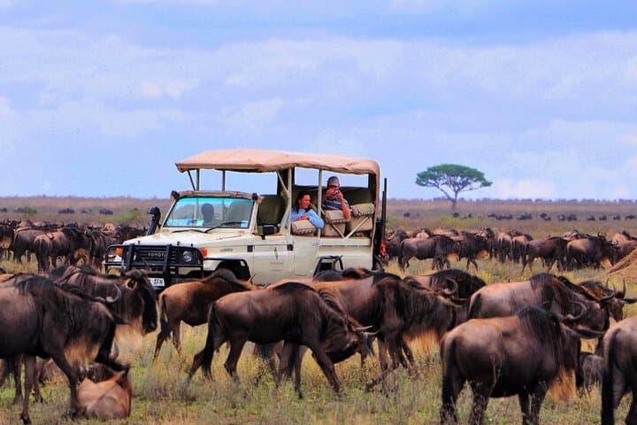 14-Day Kenya & Tanzania Big Five Camping Safari: Maasai Mara to Serengeti photo 5