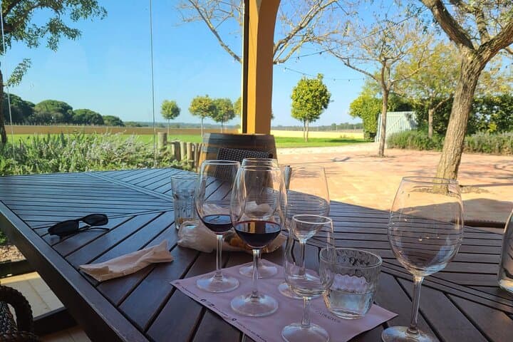 Arrábida & Setúbal Wine Tour from Lisbon: Azeitão Market, Tile Workshop & Wineries photo 2