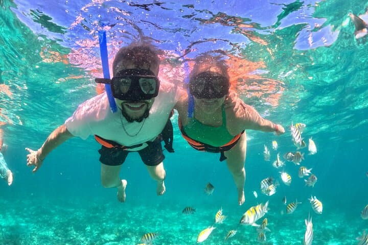 Cabo San Lucas Catamaran: Snorkel Pelican Rock or Sunset Cruise photo 4