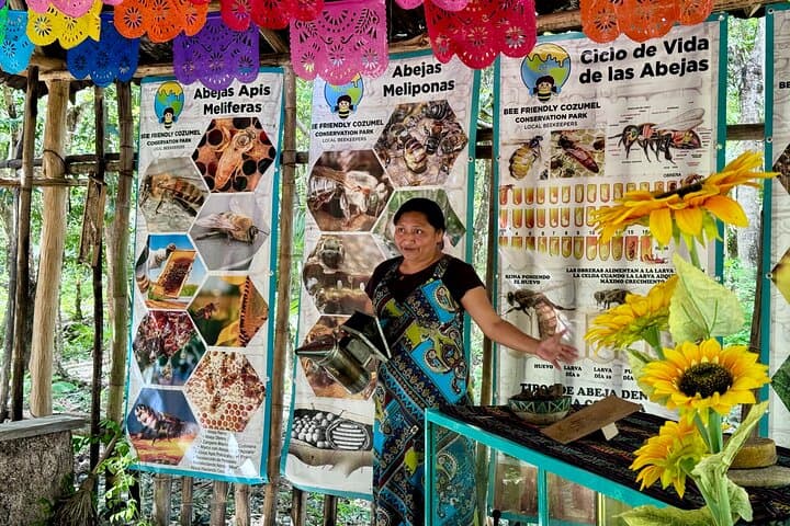 Cozumel Melipona Honey Tasting and Hands-On Jungle Chocolate Workshop