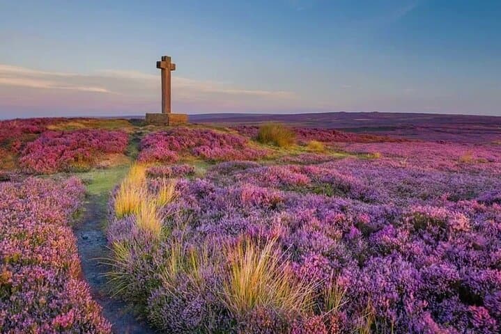 Exploring North York Moors: A Small Group Day Trip to Whitby and Beyond photo 3