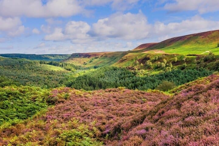 Exploring North York Moors: A Small Group Day Trip to Whitby and Beyond photo 2