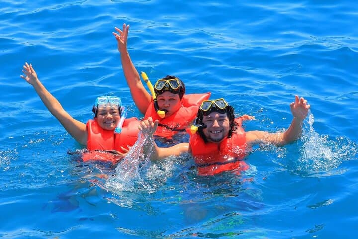 Cabo San Lucas Catamaran: Snorkel Pelican Rock or Sunset Cruise photo 3